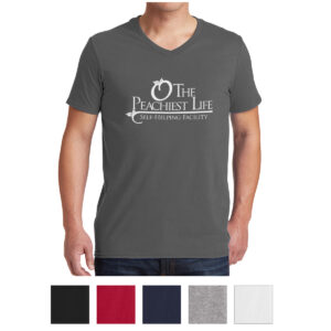 Gildan Softstyle® V-Neck T-Shirt